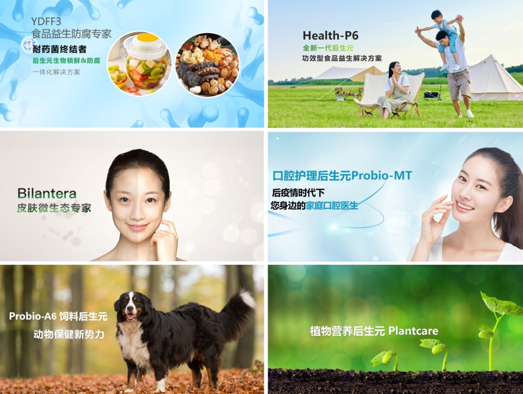 图片5.png