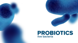 从“肠”计议|新一代健康调理解决方案——后生元PostbioP®-6让肠道自护力加倍