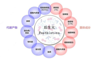 肠道总爱闹脾气？赶紧收好这份肠道健康守护攻略