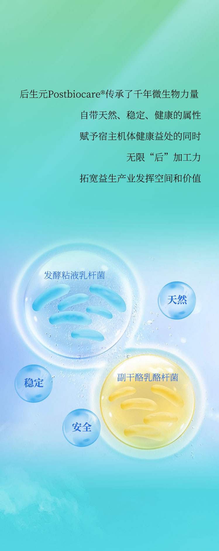 公众号1_04.jpg