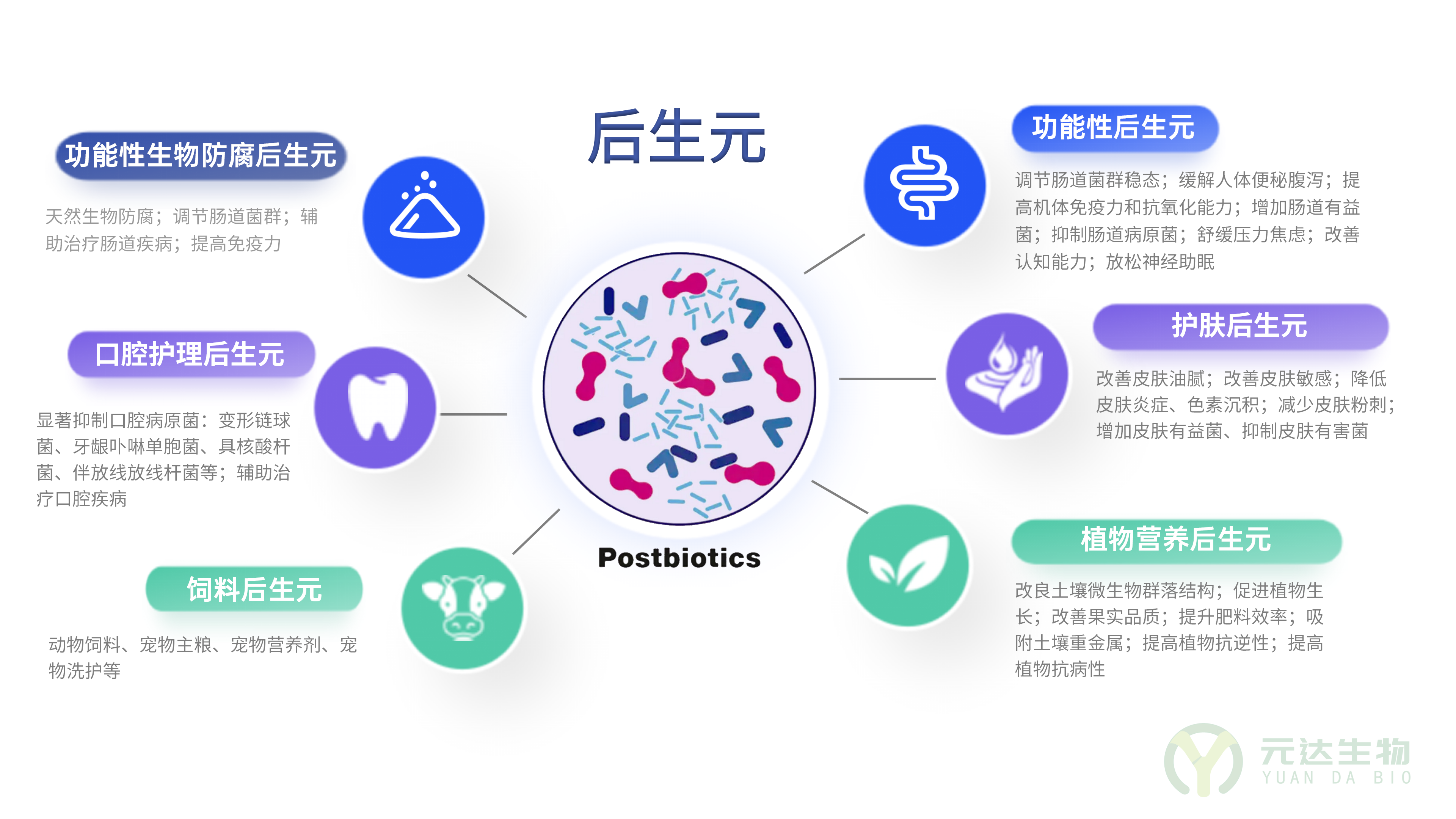 后生元——撬动大健康产业的一个有力杠杆(图2)