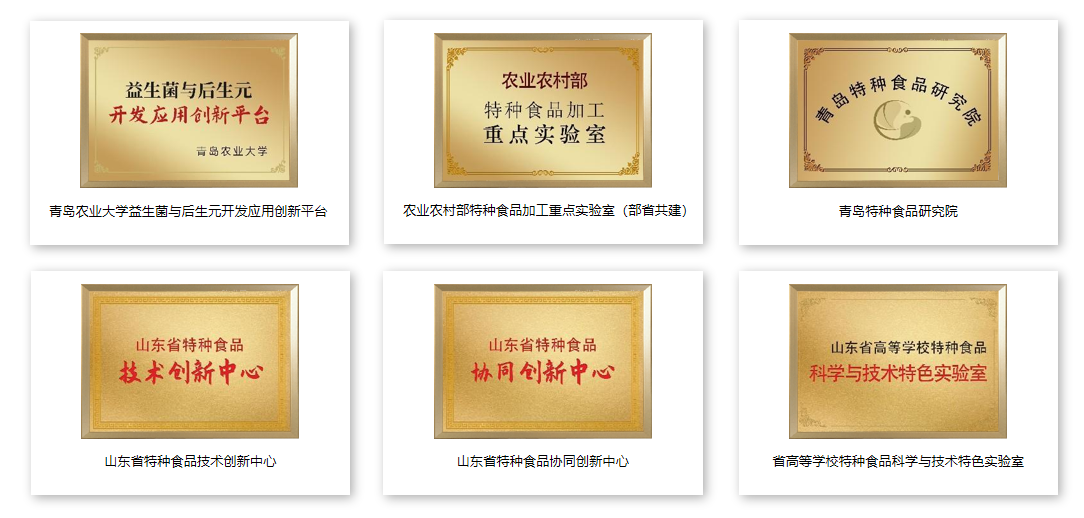 图片12-.png